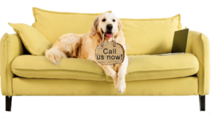 call JCA Freedom Homes now