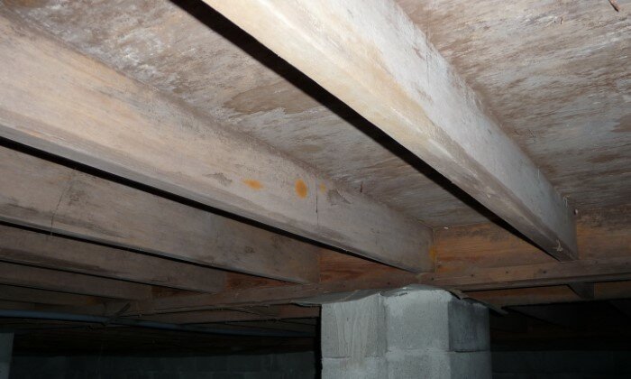 Moldy Crawlspace Raleigh NC
