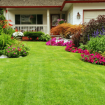compramos casas