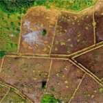 Land;Terreno
