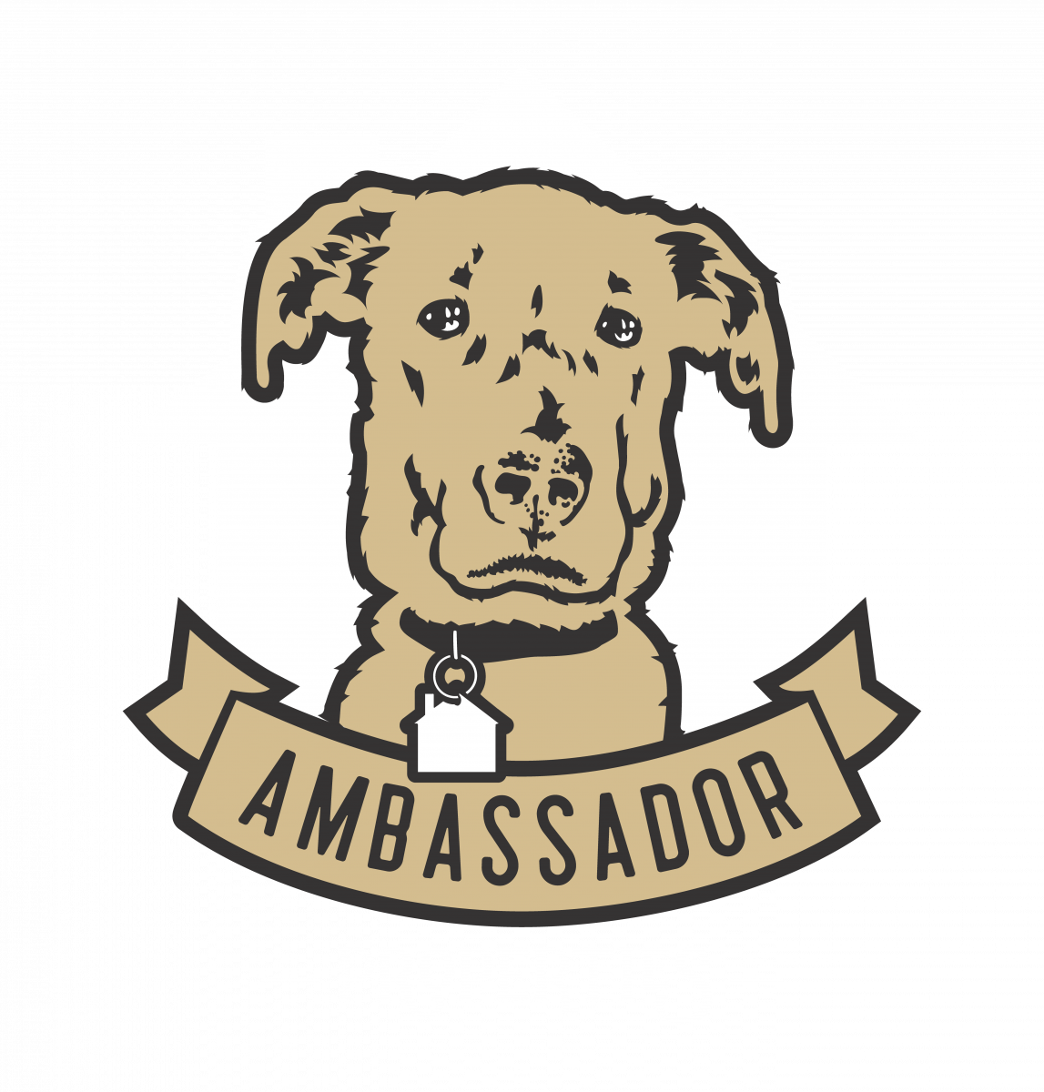 Ambassador Properties