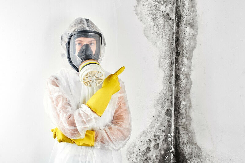 Professional Mold Damage Remediation