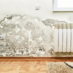 Selling a House with Mold