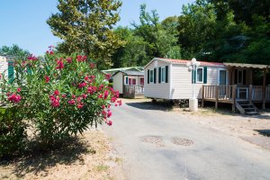 Companies-That-Buys-Mobile-Homes