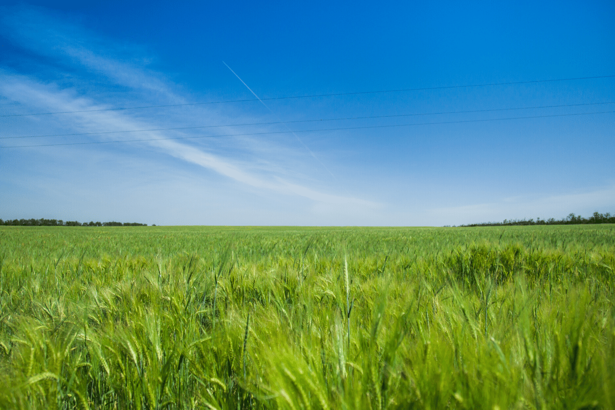 How much is Vacant Land Is Costing You In Simpsonville SC