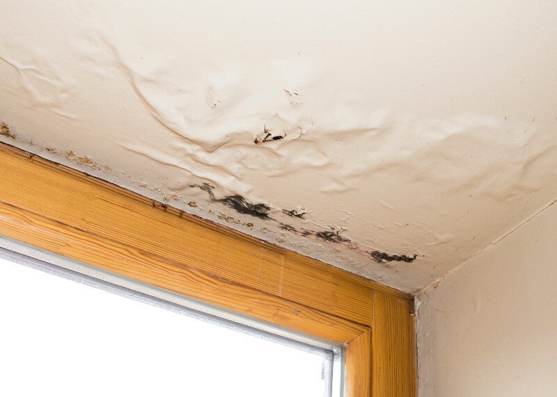 Water leakage badly damaged a roof ceiling.