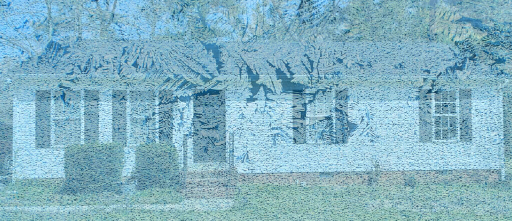 sell fast with mold in Richmond
