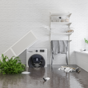 Selling a House Affected by Water Damage Virginia