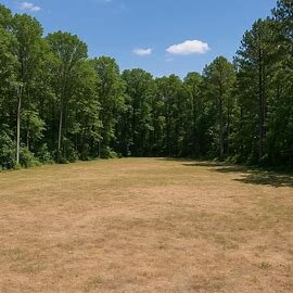 Undeveloped land lot in Virginia with trees and grass
