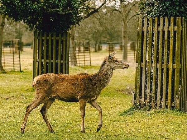 Diverse Richmond, VA communities and lifestyle