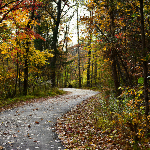 Best and Worst Communities Richmond