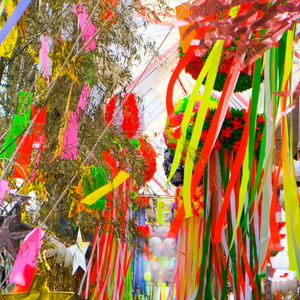 Complimentary Attractions Charlottesville, VA