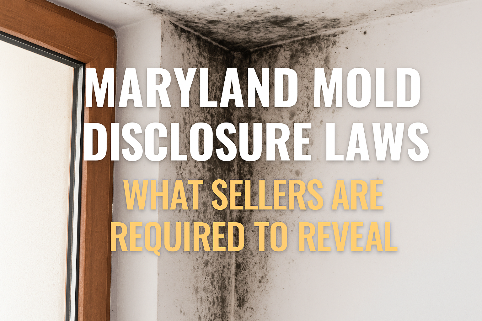 Maryland Mold Disclosure Laws What Sellers Are Required to Reveal