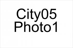 We Buy Houses City05 TemplateState.