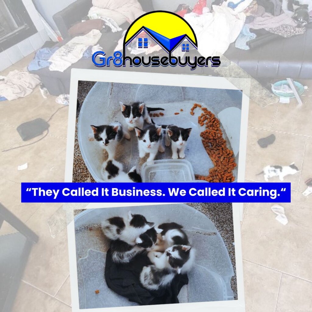 Gr8 Homeowner Story about Cats Gr8housebuyers®