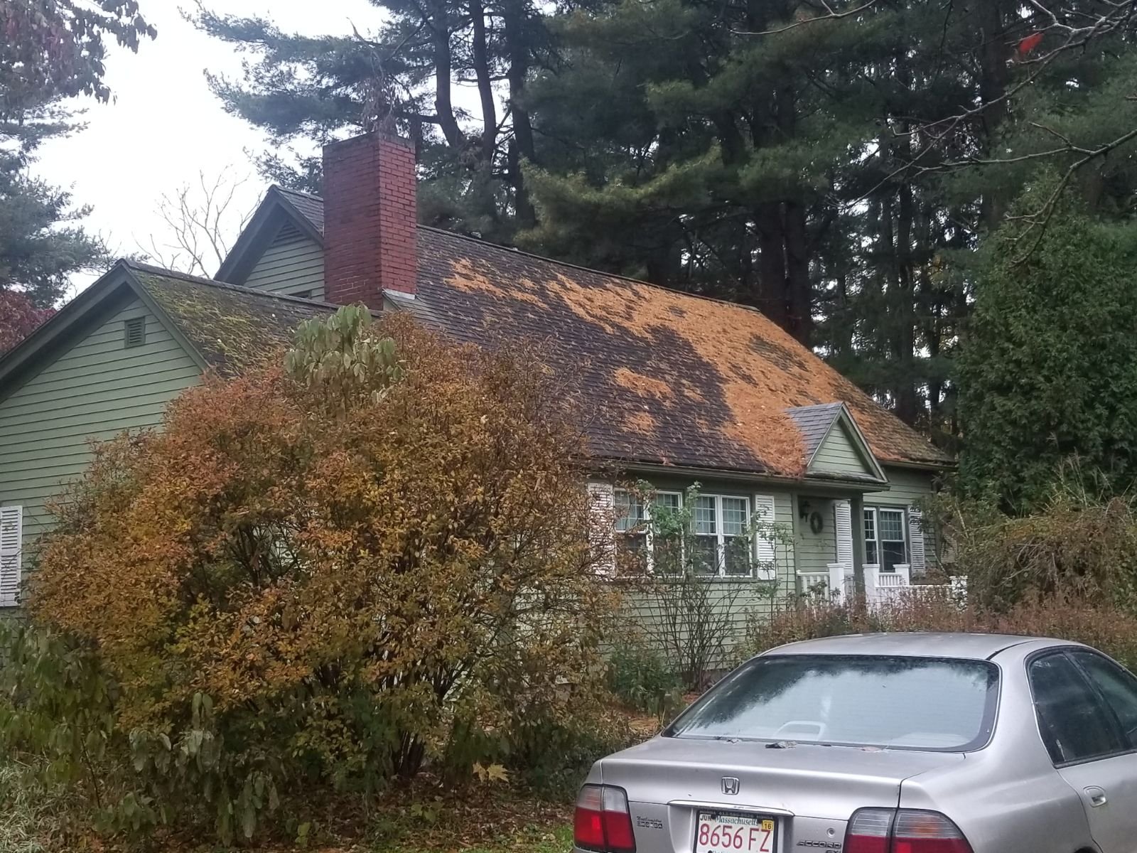 99 Bay Road, Hadley MA Ruby Realty LLC