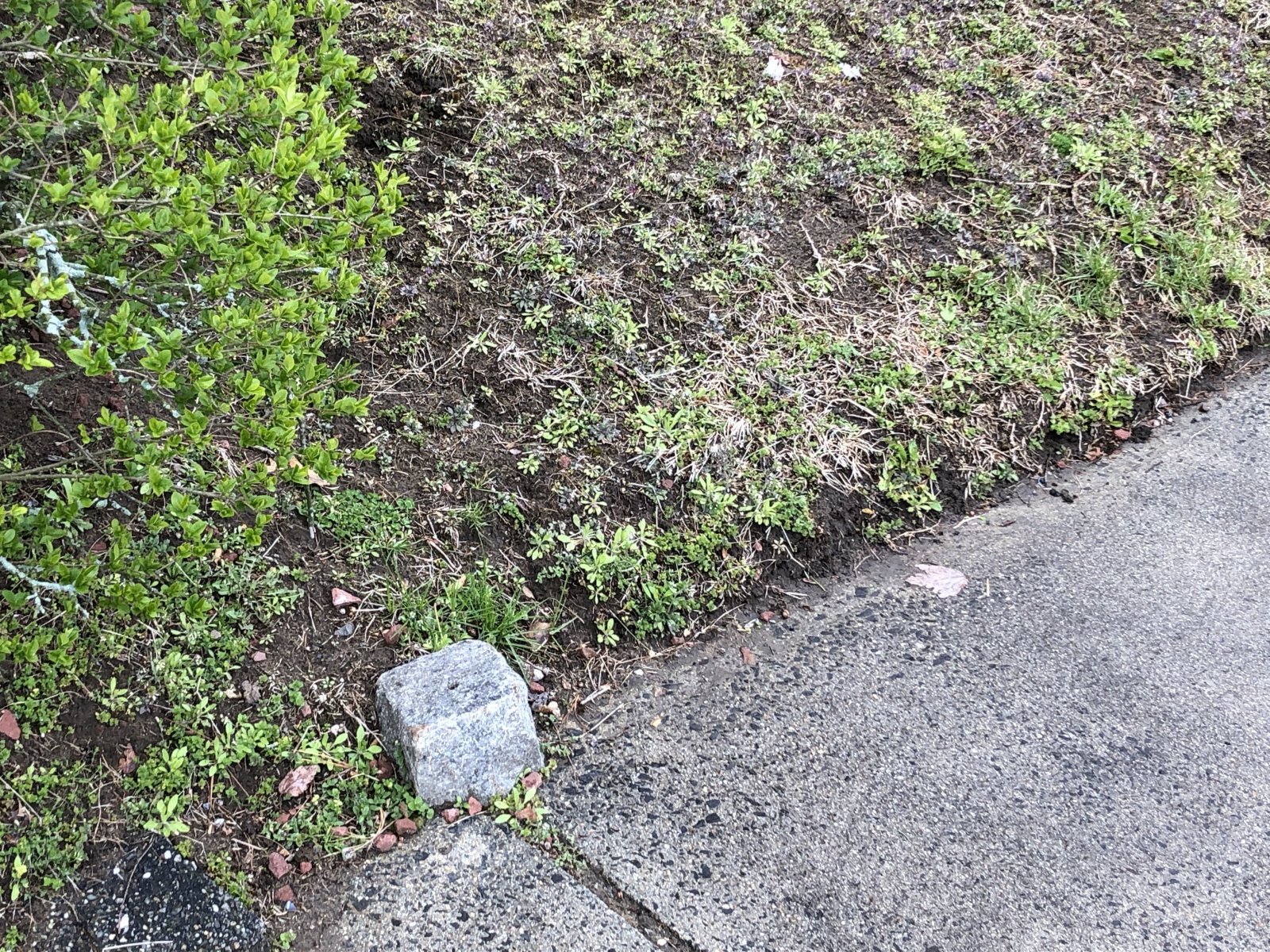 131 Dwight Rd, Springfield, MA 01108 Ruby Realty LLC