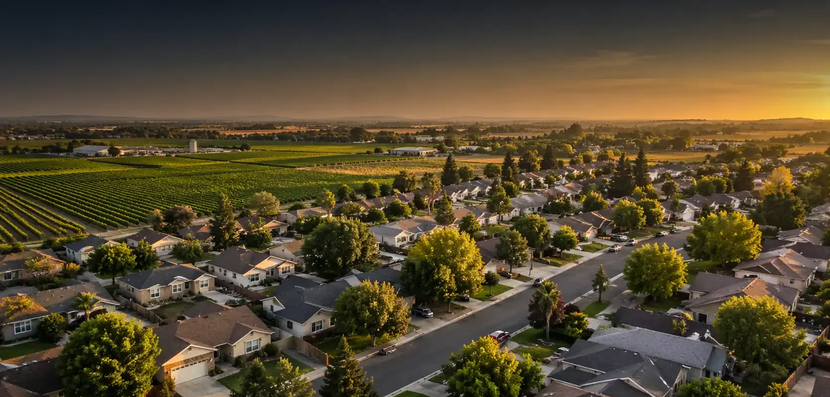 Aerial view of a Lodi CA neighborhood next to vineyards, showing local homes where we buy houses and help homeowners sell houses fast