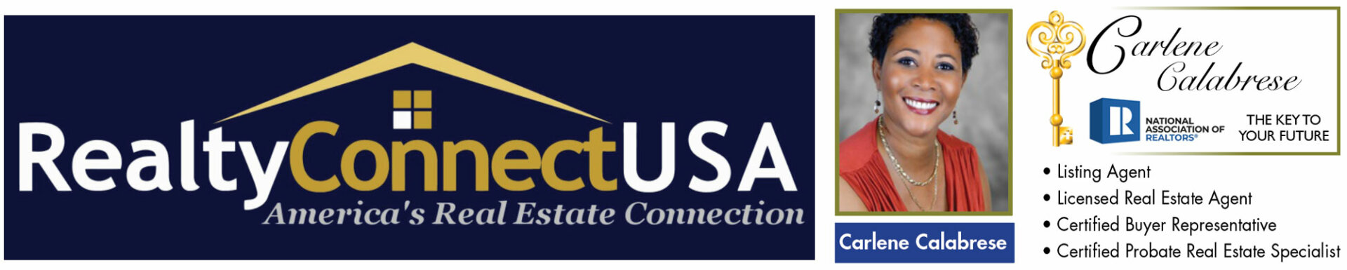 Realty Connect USA logo