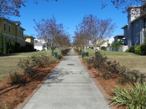 Aragon-Subdivision-in-Downtown-Pensacola-near-Pensacola-Bay