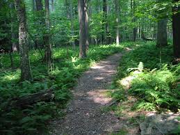 Hiking trails