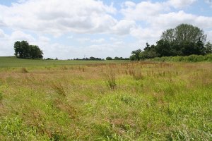 land
