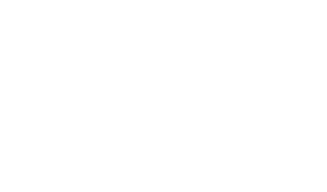 5 Star Google Review