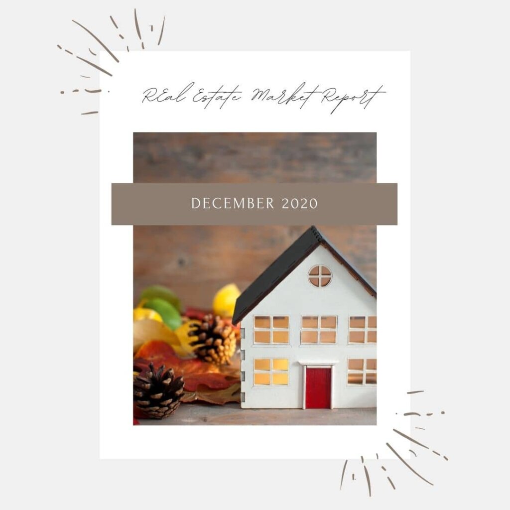 Snohomish County Market Report 2020