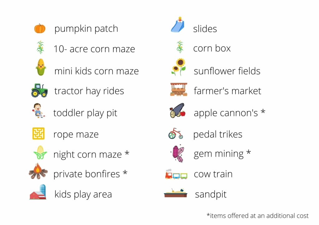 activities offered at Bob's Corn maze and pumpkin patch fall festival