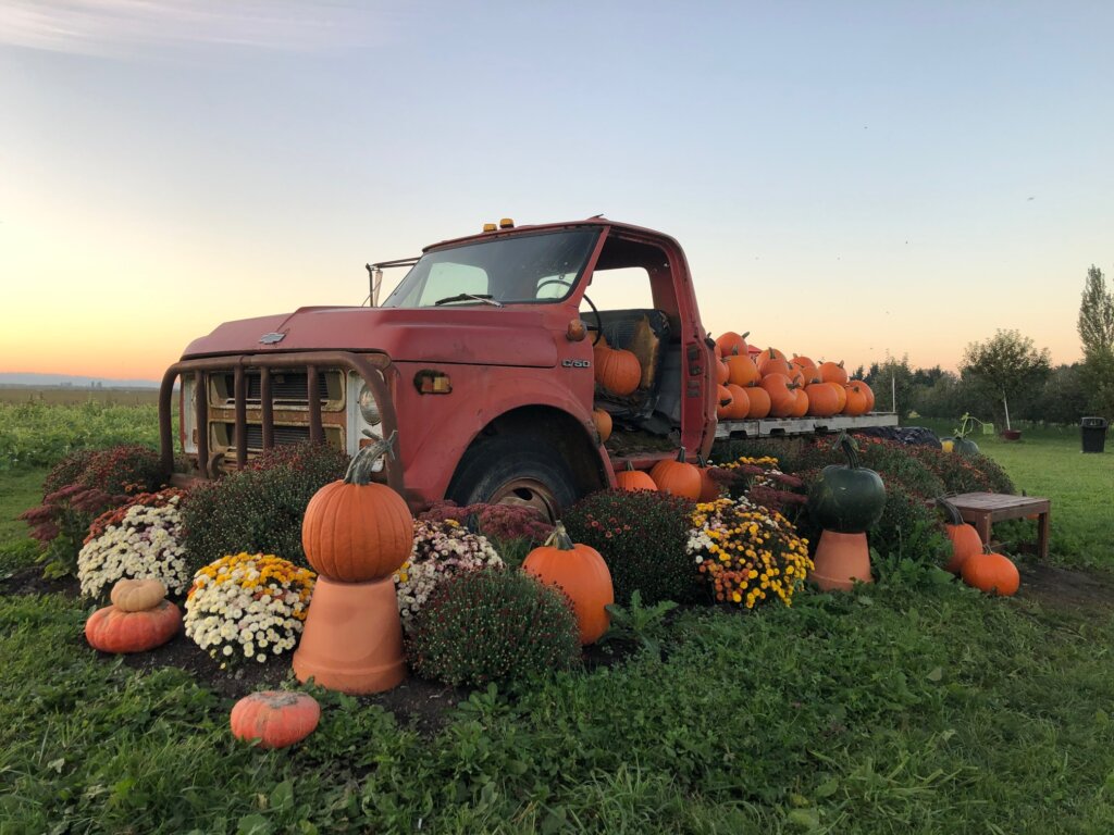 vintage truck parked at Bailey family farm decorated with pumpkins