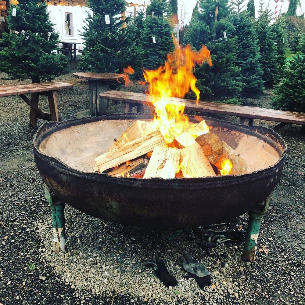 large outdoor fire pit at a u cut christmas tree farm