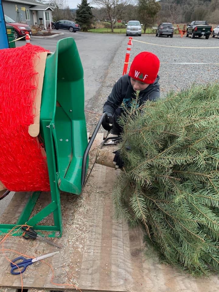 kid getting ready to put twine on his fresh cut Christmas tree