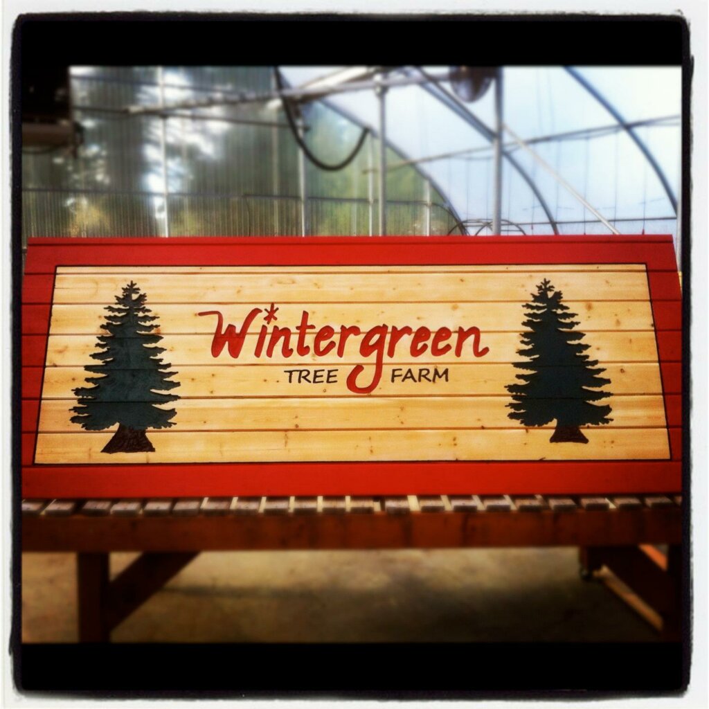 wintergreen tree farm sign