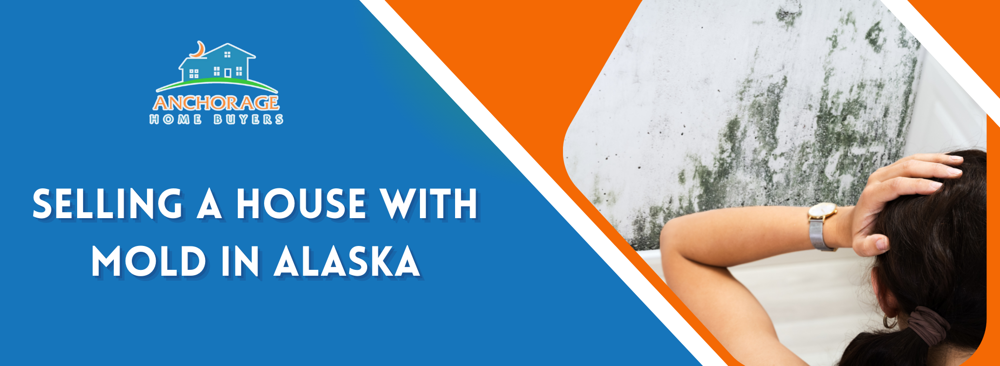 Selling A House With Mold In Alaska Anchorage