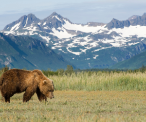 we buy your mobile home in Alaska
