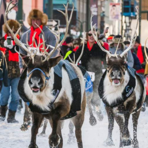 Amazing Facts Anchorage