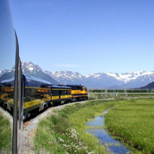 Fun Things to Do with Kids Anchorage