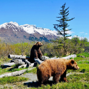Great Things to Do with Kids Anchorage