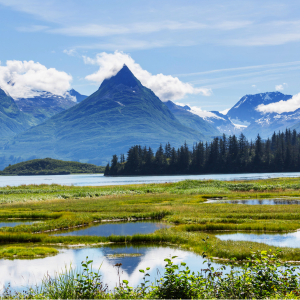 Area Neighborhood Map Anchorage