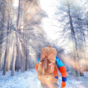 No-Cost Things to Do Anchorage