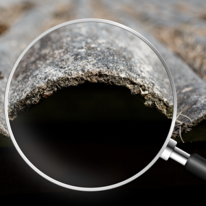 Asbestos Testing Cost in a House In Alaska