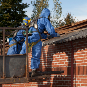 Asbestos Testing Price in a Home In Alaska