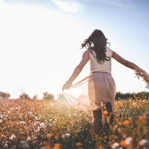 Complimentary Attractions Fairbanks