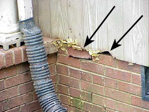 we buy houses damage