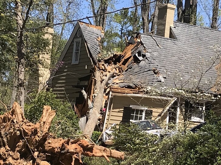house damaged by a tree