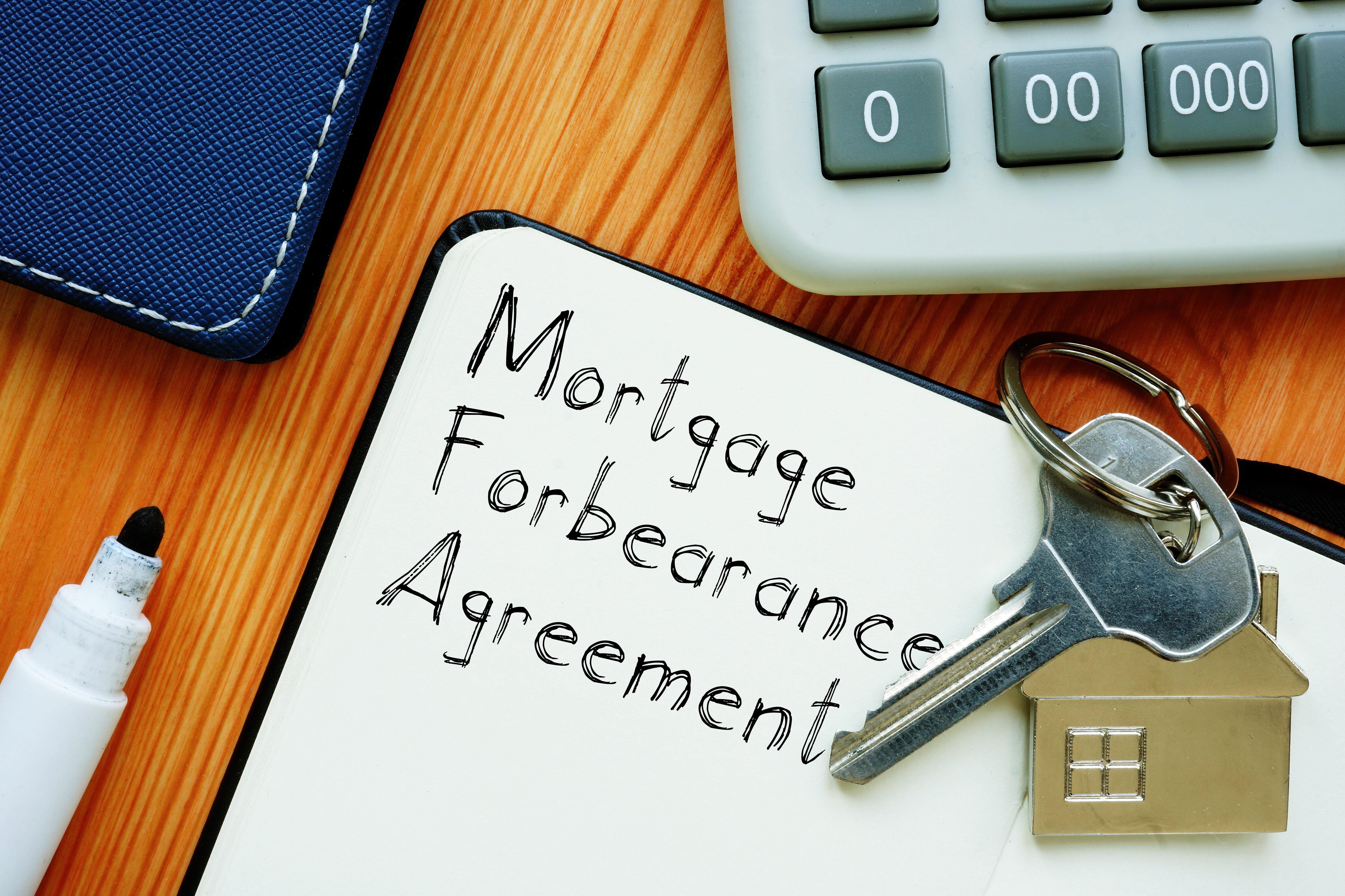 mortgage forbearance