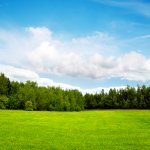 sell-land-fast-greenville