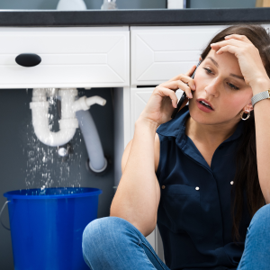 Essential Disclosures for Home Sellers Louisville