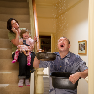 What Must Sellers Disclose to Buyers Louisville