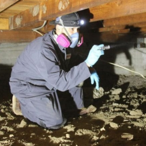 Selling a House That Has Water in the Crawl Space in Louisville